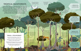 LETS SAVE OUR PLANETS FORESTS