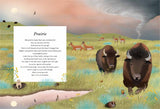 WILD WORLD