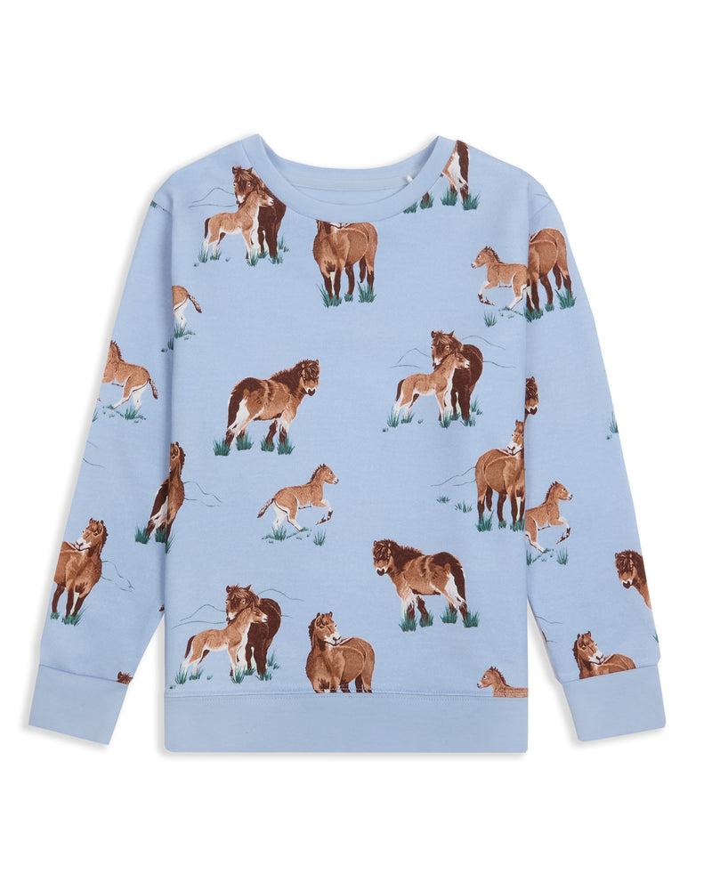 Children's Organic Cotton Sweatshirt Exmoor Ponies