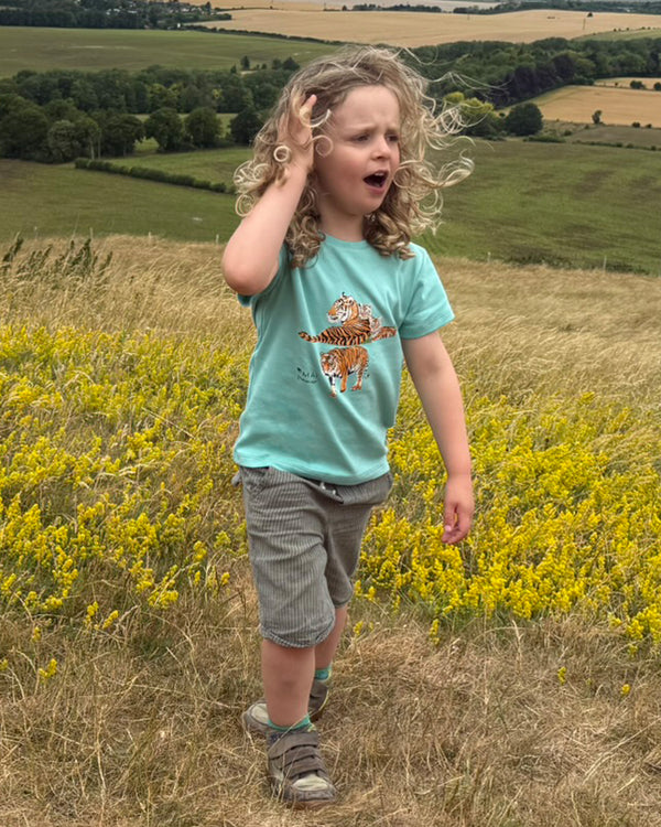 Child wearing a green t-shirt with a tiger design, standing in a field with yellow flowers and green hills in the background.